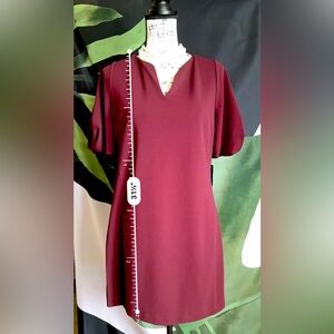 Express sheath dress flutter sleeve plum purple SZ Med, lined, zipper back. NWT